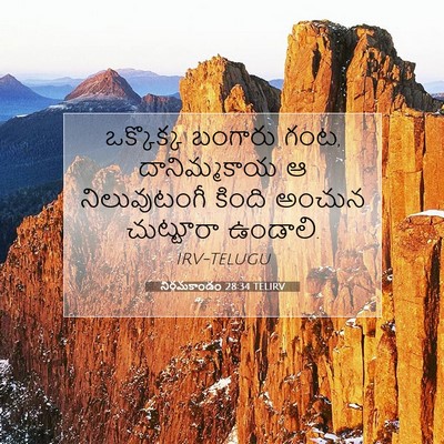 Picture 07 - నిర్గమకాండం 28:34 TELIRV - ఒక్కొక్క బంగారు - Bible Verse Picture