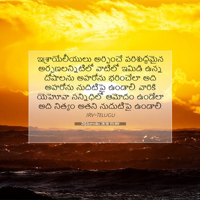 Picture 07 - నిర్గమకాండం 28:38 TELIRV - ఇశ్రాయేలీయులు - Bible Verse Picture