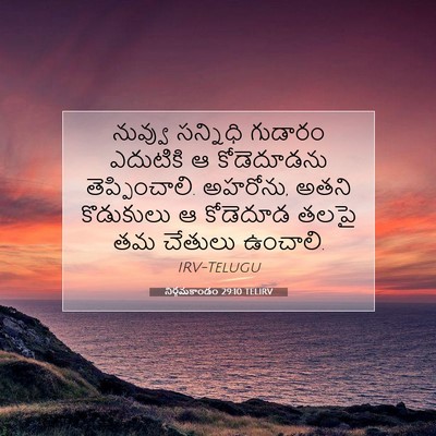 Picture 07 - నిర్గమకాండం 29:10 TELIRV - నువ్వు సన్నిధి - Bible Verse Picture