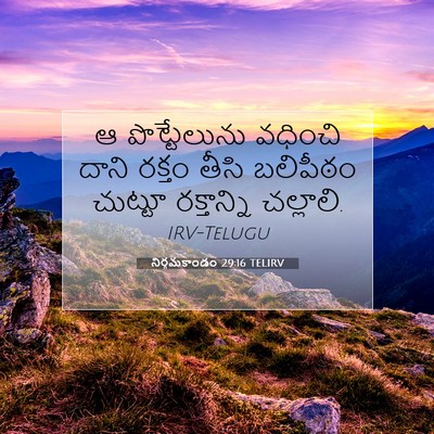 Picture 07 - నిర్గమకాండం 29:16 TELIRV - ఆ పొట్టేలును - Bible Verse Picture