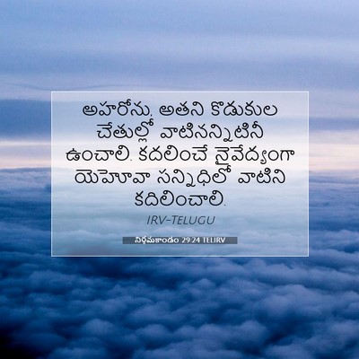 Picture 07 - నిర్గమకాండం 29:24 TELIRV - అహరోను, అతని - Bible Verse Picture