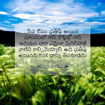Picture 07 - నిర్గమకాండం 29:34 TELIRV - సేవ కోసం - Bible Verse Picture