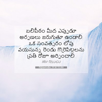Picture 07 - నిర్గమకాండం 29:38 TELIRV - బలిపీఠం మీద - Bible Verse Picture