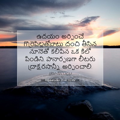 Picture 07 - నిర్గమకాండం 29:40 TELIRV - ఉదయం అర్పించే - Bible Verse Picture