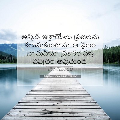 Picture 07 - నిర్గమకాండం 29:43 TELIRV - అక్కడ ఇశ్రాయేలు - Bible Verse Picture