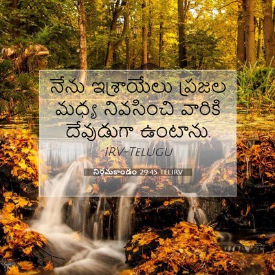 Picture 07 - నిర్గమకాండం 29:45 TELIRV - నేను ఇశ్రాయేలు - Bible Verse Picture