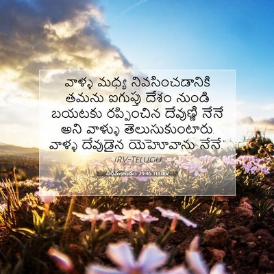 Picture 07 - నిర్గమకాండం 29:46 TELIRV - వాళ్ళ మధ్య - Bible Verse Picture