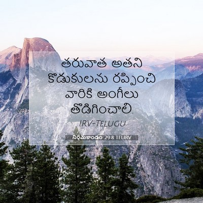 Picture 07 - నిర్గమకాండం 29:8 TELIRV - తరువాత అతని - Bible Verse Picture