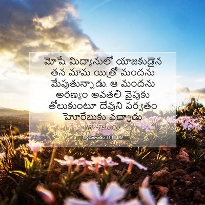 Picture 07 - నిర్గమకాండం 3:1 TELIRV - మోషే మిద్యానులో - Bible Verse Picture