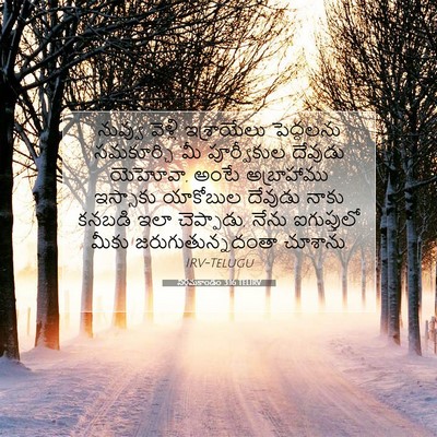 Picture 07 - నిర్గమకాండం 3:16 TELIRV - నువ్వు వెళ్లి - Bible Verse Picture