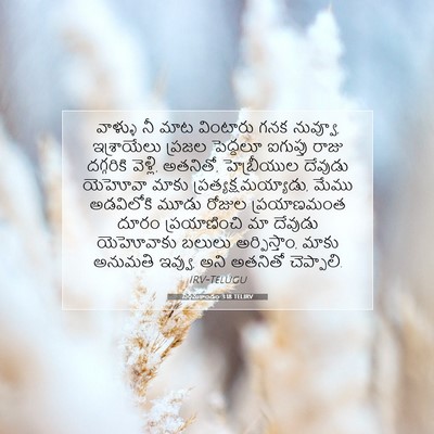 Picture 07 - నిర్గమకాండం 3:18 TELIRV - వాళ్ళు నీ మాట - Bible Verse Picture