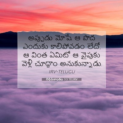 Picture 07 - నిర్గమకాండం 3:3 TELIRV - అప్పుడు మోషే ఆ పొద - Bible Verse Picture