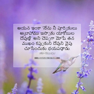 Picture 07 - నిర్గమకాండం 3:6 TELIRV - ఆయన ఇంకా “నేను నీ - Bible Verse Picture