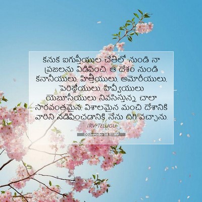 Picture 07 - నిర్గమకాండం 3:8 TELIRV - కనుక ఐగుప్తీయుల - Bible Verse Picture