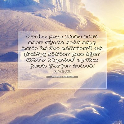 Picture 07 - నిర్గమకాండం 30:16 TELIRV - ఇశ్రాయేలు ప్రజలు - Bible Verse Picture