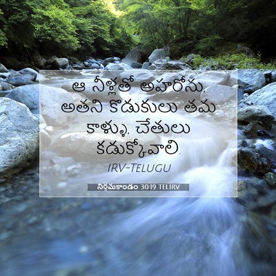 Picture 07 - నిర్గమకాండం 30:19 TELIRV - ఆ నీళ్లతో అహరోను, - Bible Verse Picture