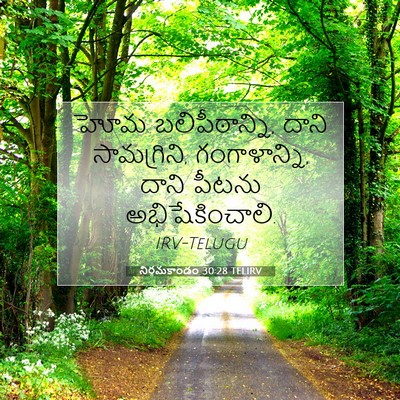 Picture 07 - నిర్గమకాండం 30:28 TELIRV - హోమ బలిపీఠాన్ని, - Bible Verse Picture