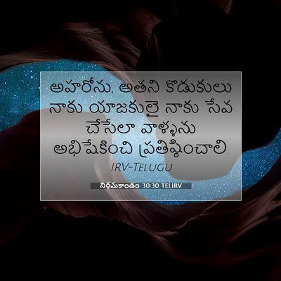 Picture 07 - నిర్గమకాండం 30:30 TELIRV - అహరోను, అతని - Bible Verse Picture