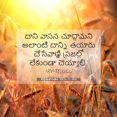 Picture 07 - నిర్గమకాండం 30:38 TELIRV - దాని వాసన - Bible Verse Picture