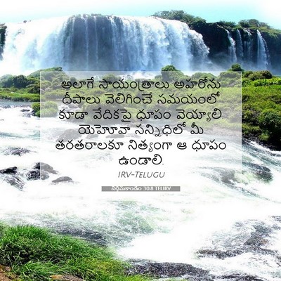 Picture 07 - నిర్గమకాండం 30:8 TELIRV - అలాగే సాయంత్రాలు - Bible Verse Picture