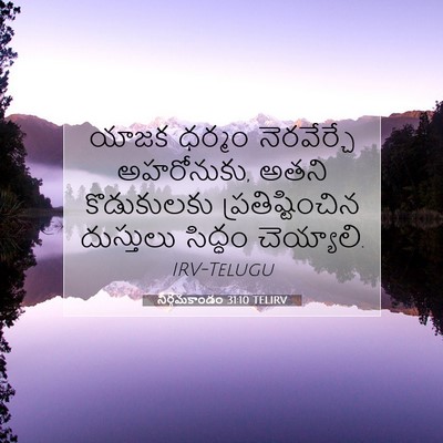 Picture 07 - నిర్గమకాండం 31:10 TELIRV - యాజక ధర్మం - Bible Verse Picture