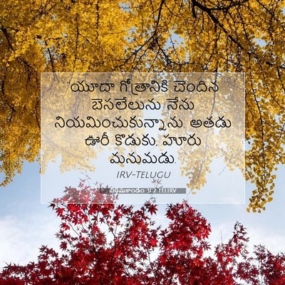Picture 07 - నిర్గమకాండం 31:2 TELIRV - “యూదా గోత్రానికి - Bible Verse Picture