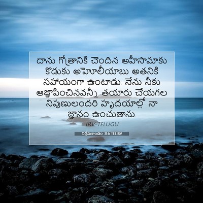 Picture 07 - నిర్గమకాండం 31:6 TELIRV - దాను గోత్రానికి - Bible Verse Picture