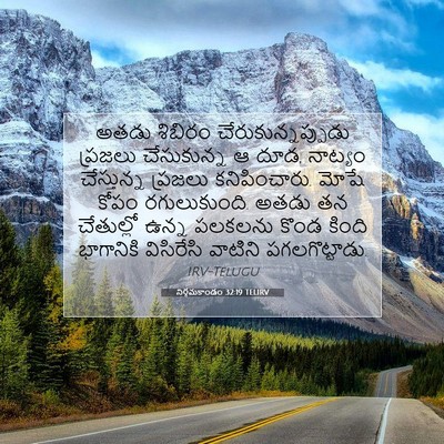 Picture 07 - నిర్గమకాండం 32:19 TELIRV - అతడు శిబిరం - Bible Verse Picture