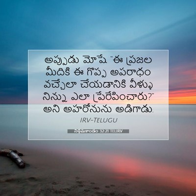 Picture 07 - నిర్గమకాండం 32:21 TELIRV - అప్పుడు మోషే “ఈ - Bible Verse Picture