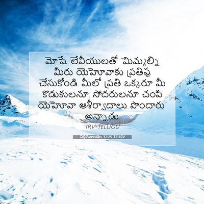 Picture 07 - నిర్గమకాండం 32:29 TELIRV - మోషే లేవీయులతో - Bible Verse Picture