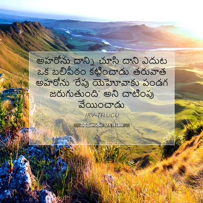 Picture 07 - నిర్గమకాండం 32:5 TELIRV - అహరోను దాన్ని - Bible Verse Picture