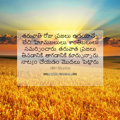 Picture 07 - నిర్గమకాండం 32:6 TELIRV - తరువాతి రోజు - Bible Verse Picture