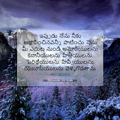 Picture 07 - నిర్గమకాండం 34:11 TELIRV - ఇప్పుడు నేను నీకు - Bible Verse Picture