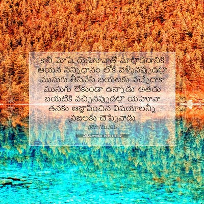 Picture 07 - నిర్గమకాండం 34:34 TELIRV - కానీ మోషే - Bible Verse Picture