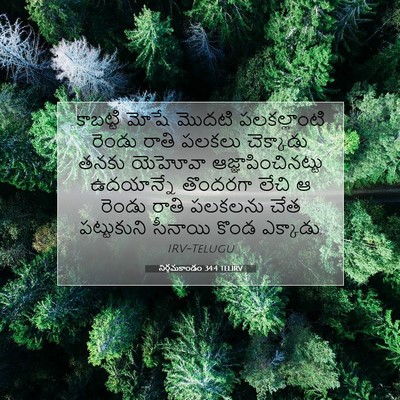 Picture 07 - నిర్గమకాండం 34:4 TELIRV - కాబట్టి మోషే - Bible Verse Picture