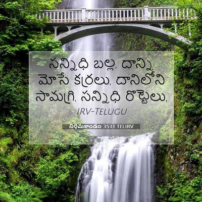 Picture 07 - నిర్గమకాండం 35:13 TELIRV - సన్నిధి బల్ల, - Bible Verse Picture