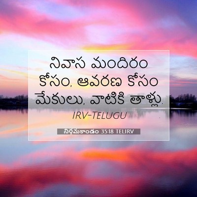 Picture 07 - నిర్గమకాండం 35:18 TELIRV - నివాస మందిరం కోసం, - Bible Verse Picture