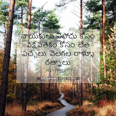 Picture 07 - నిర్గమకాండం 35:27 TELIRV - నాయకులు ఏఫోదు - Bible Verse Picture