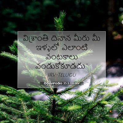 Picture 07 - నిర్గమకాండం 35:3 TELIRV - విశ్రాంతి దినాన - Bible Verse Picture