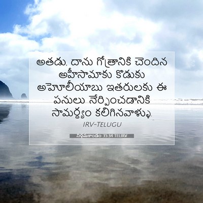Picture 07 - నిర్గమకాండం 35:34 TELIRV - అతడు, దాను - Bible Verse Picture