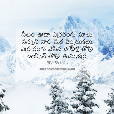 Picture 07 - నిర్గమకాండం 35:6 TELIRV - నీలం, ఊదా, ఎర్రరంగు - Bible Verse Picture