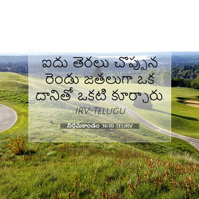 Picture 07 - నిర్గమకాండం 36:10 TELIRV - ఐదు తెరలు చొప్పున - Bible Verse Picture