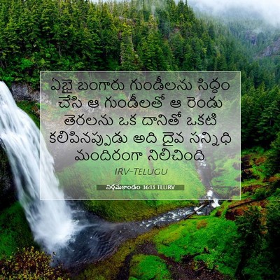 Picture 07 - నిర్గమకాండం 36:13 TELIRV - ఏభై బంగారు - Bible Verse Picture