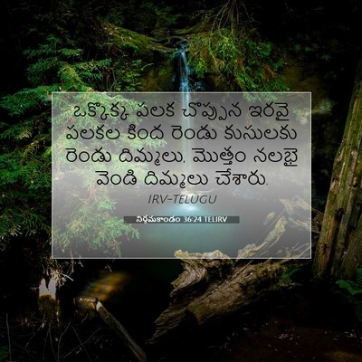 Picture 07 - నిర్గమకాండం 36:24 TELIRV - ఒక్కొక్క పలక - Bible Verse Picture