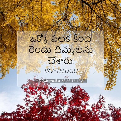 Picture 07 - నిర్గమకాండం 36:26 TELIRV - ఒక్కో పలక కింద - Bible Verse Picture