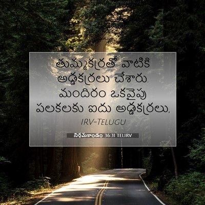 Picture 07 - నిర్గమకాండం 36:31 TELIRV - తుమ్మకర్రతో - Bible Verse Picture