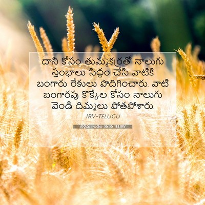 Picture 07 - నిర్గమకాండం 36:36 TELIRV - దాని కోసం - Bible Verse Picture