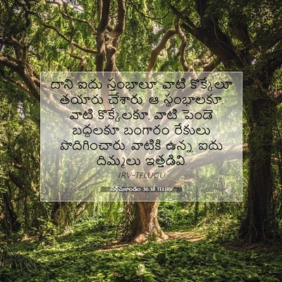 Picture 07 - నిర్గమకాండం 36:38 TELIRV - దాని ఐదు స్తంభాలూ, - Bible Verse Picture