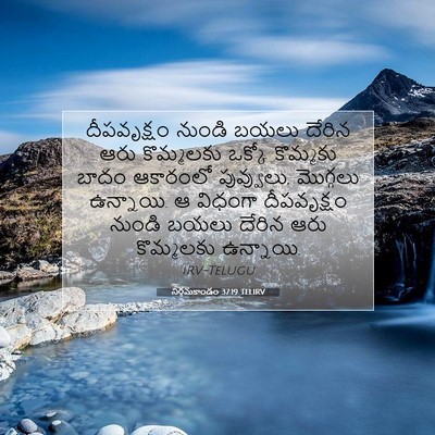 Picture 07 - నిర్గమకాండం 37:19 TELIRV - దీపవృక్షం నుండి - Bible Verse Picture