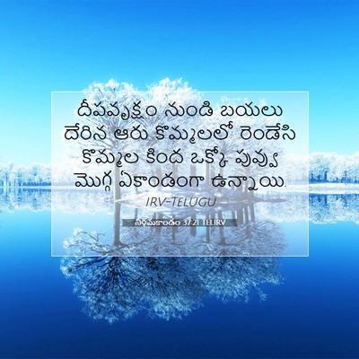 Picture 07 - నిర్గమకాండం 37:21 TELIRV - దీపవృక్షం నుండి - Bible Verse Picture